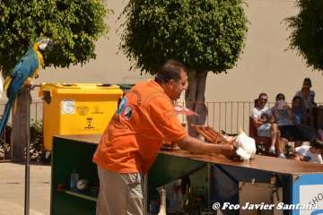 Espectáculo de aves exóticas de Paco Pluma en El Caracol (Foto Francisco Javier Santana)